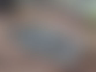 At Least We Have Logs for Mushrooms Now...