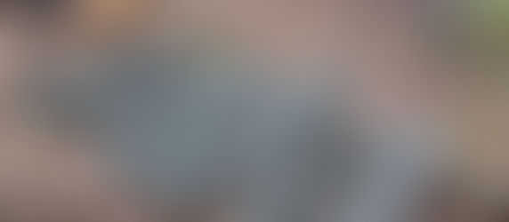 At Least We Have Logs for Mushrooms Now...