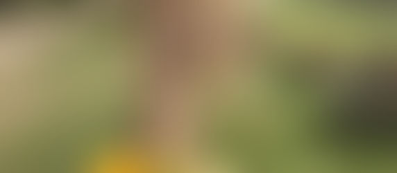 You Know It's Fall When the Decorating Starts