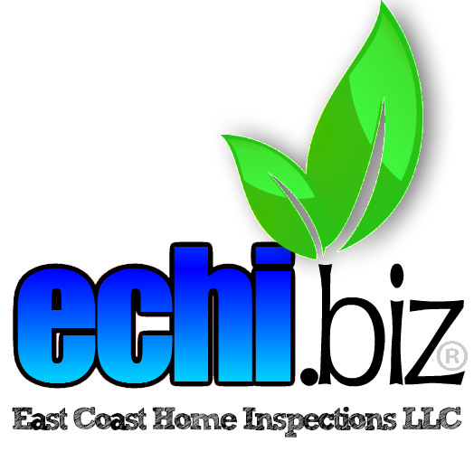 Echiwebsite