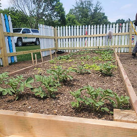 vegetable planting.jpg