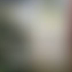 Silvia Menia . Premium Egyptian Marble