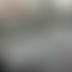 Premium New Halayeb Egyptian 2