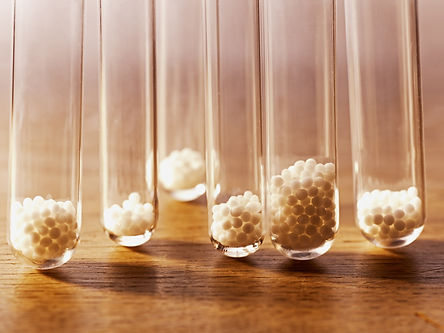 Homeopathy Research
