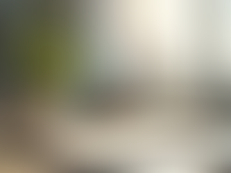 Empowering Leaders with Mindful Practices