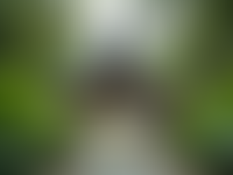 Transform Your Life at a Bali Self-Mastery Retreat