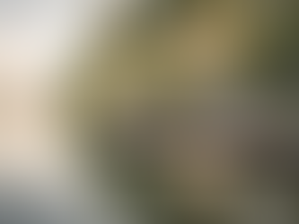 Discover the Mindfulness Retreat Benefits: Embrace Your Journey to Self-Mastery