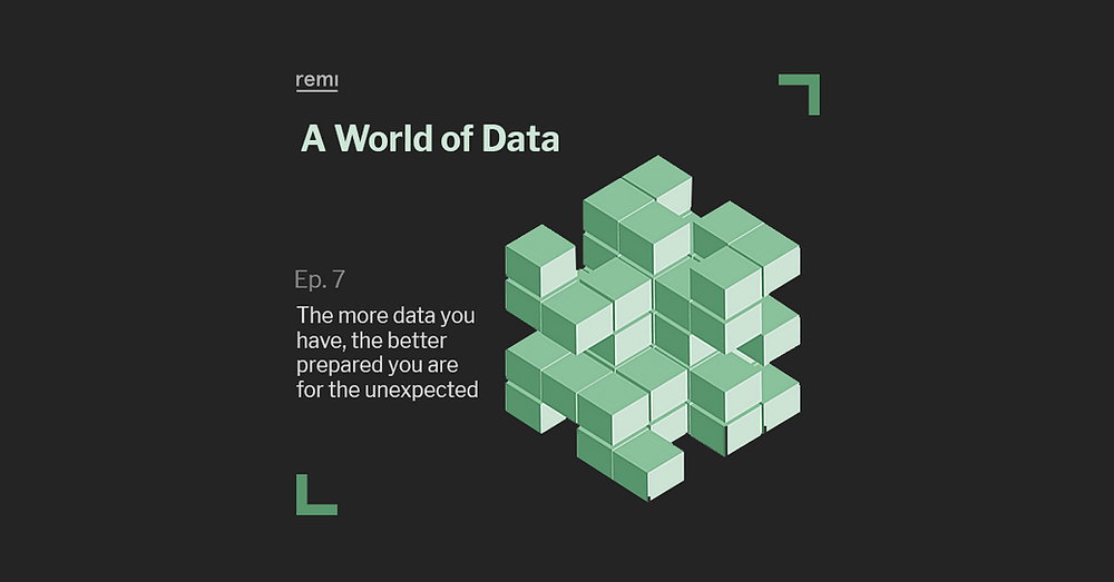 data business Remi AI retail software