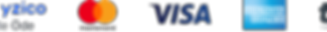 logo_band_colored_1X.png