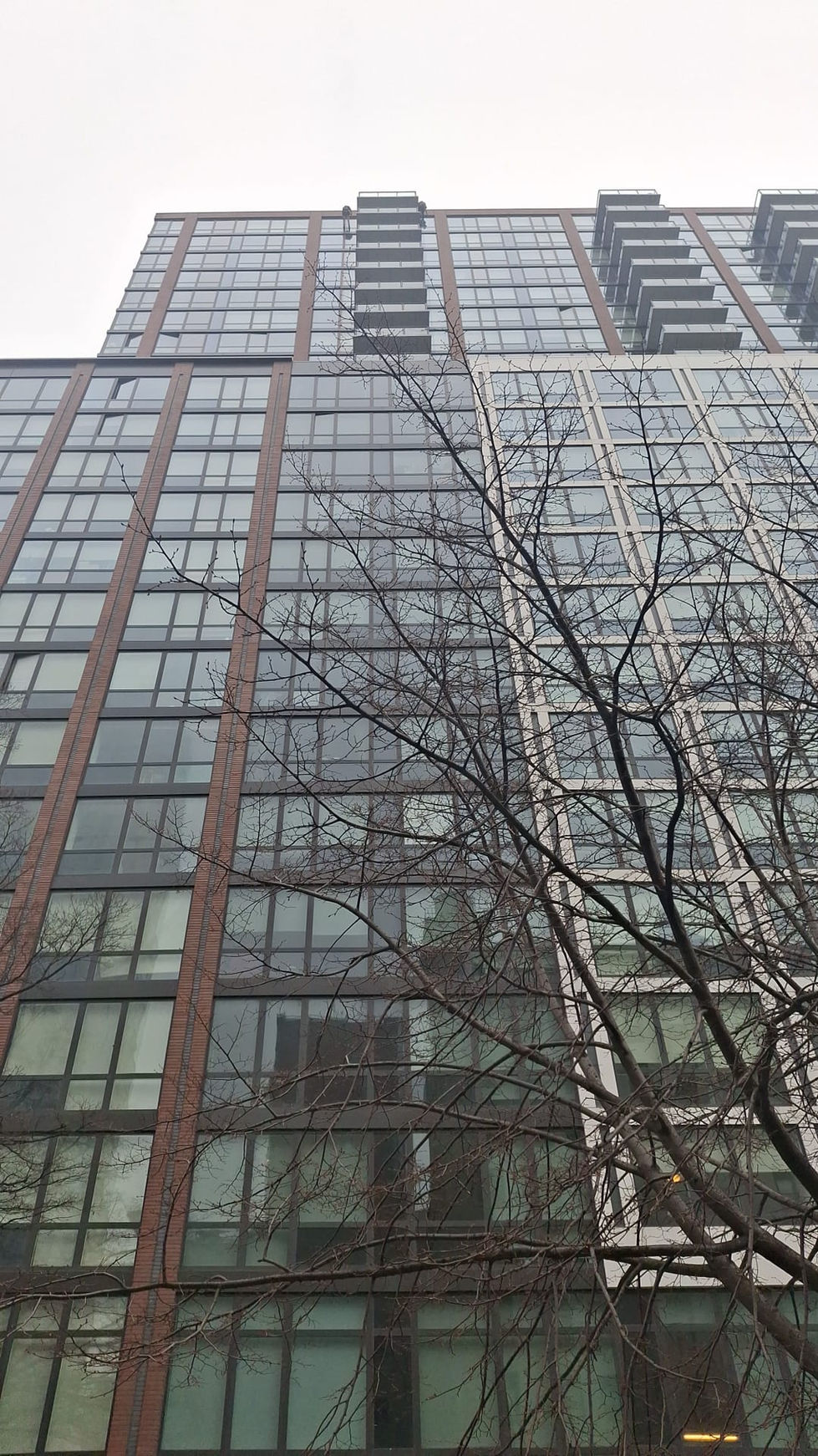 WhatsApp Image 2025-09-05 at 1.15.51 PM