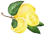 Limon.png