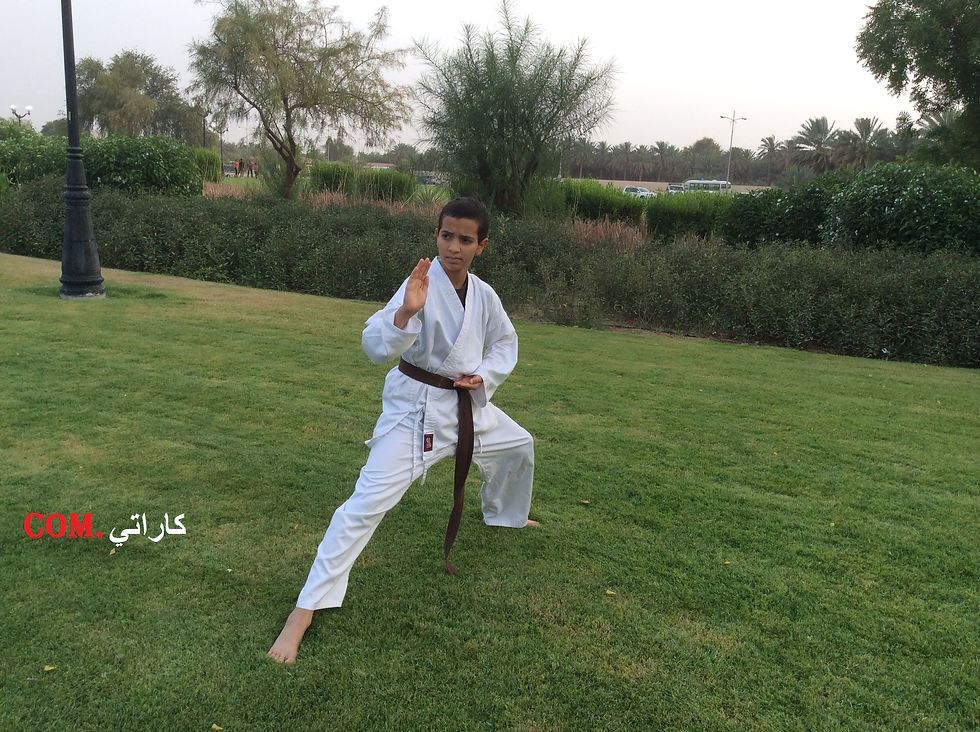 com.كاراتي