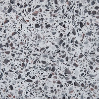 TZ5015 Garnet.JPG