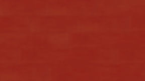 FT8921 - Pomegranate