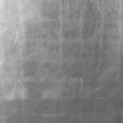 Silver Leaf Sample 0001.jpg