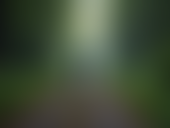     Walking away from toxic relationships, finding peace in solitude