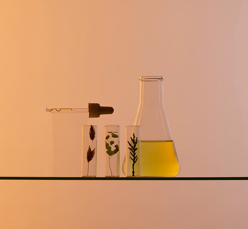 Plant Based Cosmetics
