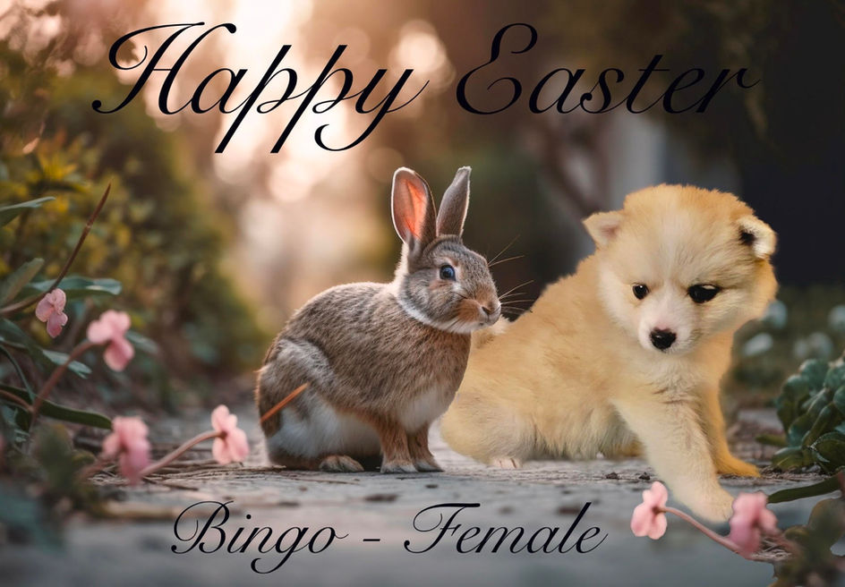 Bingo-Easter.jpg