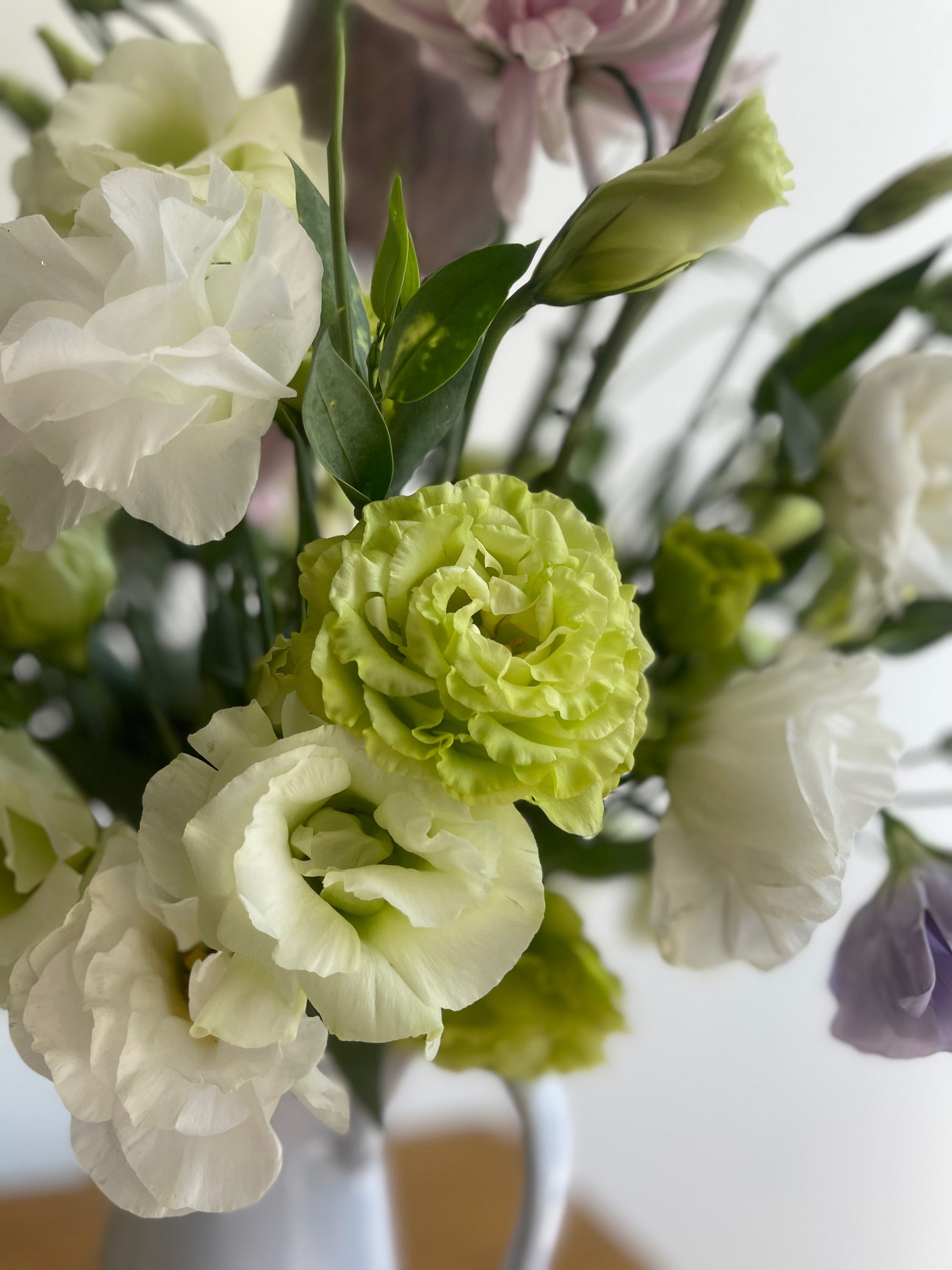 Love flowers morning