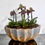 Miniatura: Siete orquídeas Paphiopedilum en una base Trinitate artesanal sobre mármol negro, diseño floral exclusivo de La Petite Fleur.