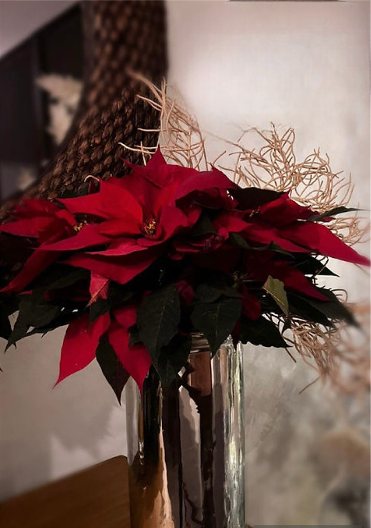 Merry Christmas (nochebuenas)