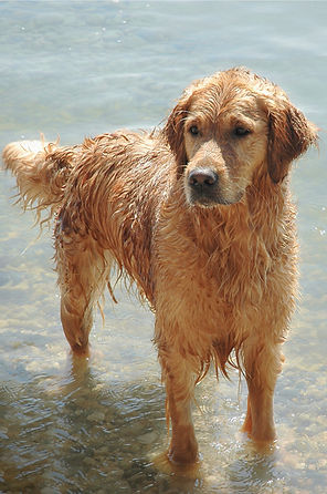 DSC_0162V1_web.jpg