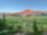 IMG_4695.jpeg