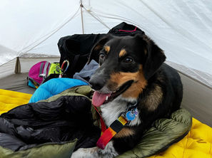 FBE6665D-1B0B-4F34-A0D5-A0CB87046D51.JPG