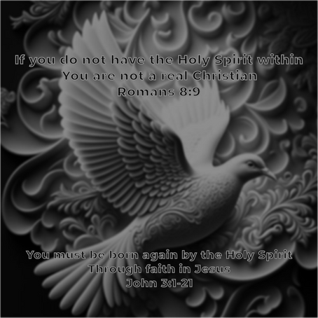 The Difference Between True Christians And False Prophets