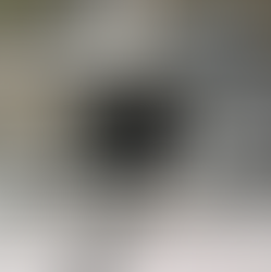 The War On Terrorism