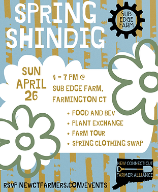 SPRING SHINDIG 2026 IG.png