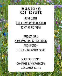 eastern ct craft IG story (Instagram Post (45)).png