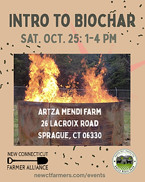 Intro to Biochar.png