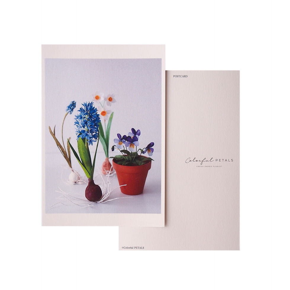 Thumbnail: ポストカード４枚セット