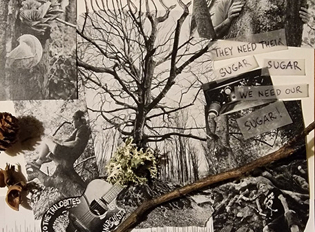 Mothertree.jpg