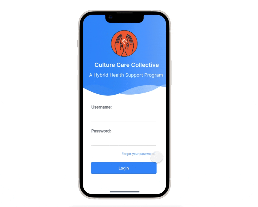 CCC CHW Prototype Video