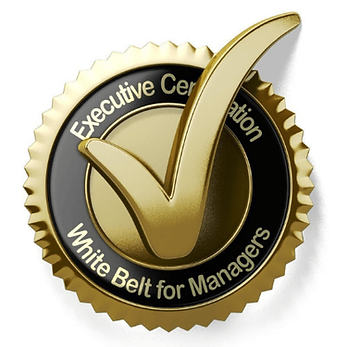 Lean Six Sigma for Executives and Senior Management