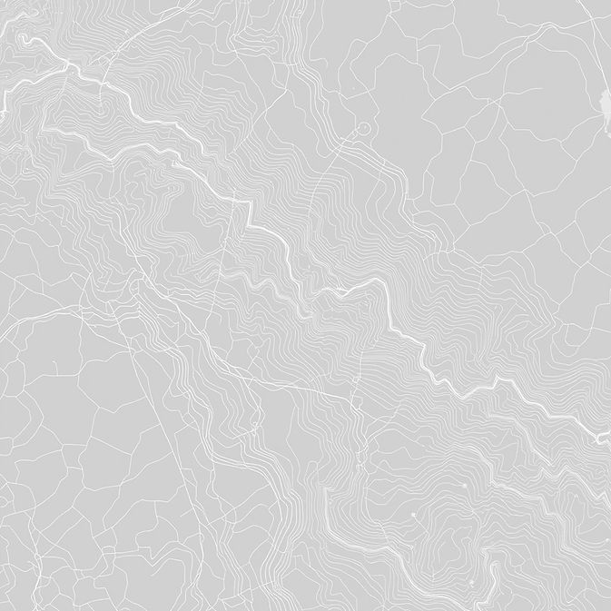 GIS vector lines.jpg