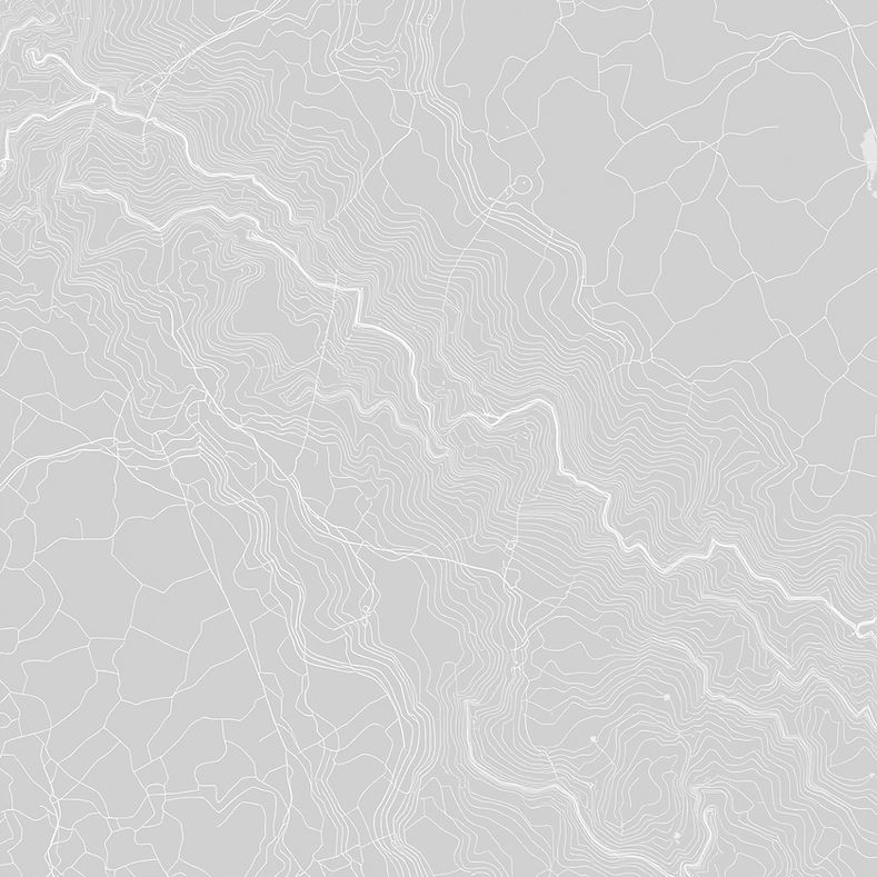 GIS vector lines.jpg
