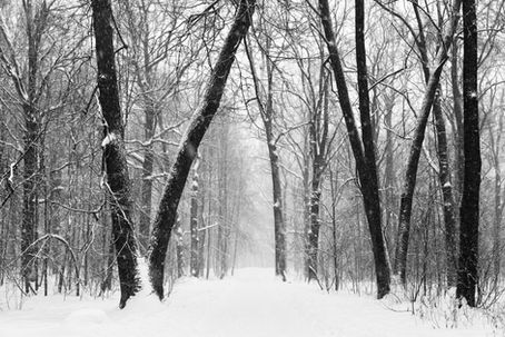 War and Peace (Leo Tolstoy, 1869): Part 2- Key Themes