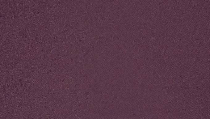 Border Sample - Leather, HL12, Aubergine