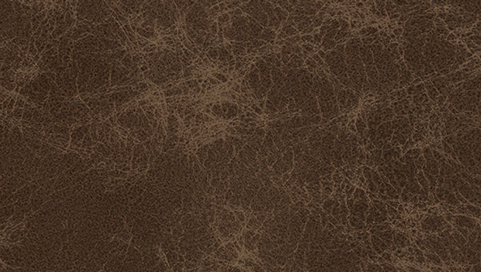 Border Sample - Antique Leather, AL6, Cafe