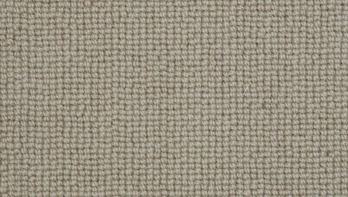 Rug Sample - Biscayne Plain, BS120, Wild Mushroom