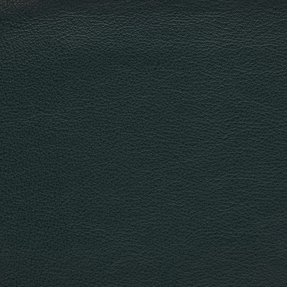 Thumbnail: Close-up of dark green leather texture.