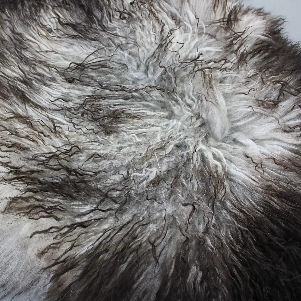 Thumbnail: Natural Curly Grey Icelandic Sheepskin Rug MED 15