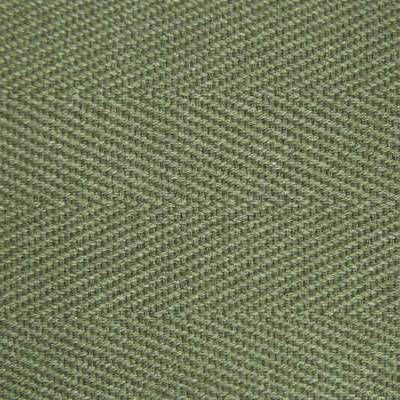 CB2401 Fern