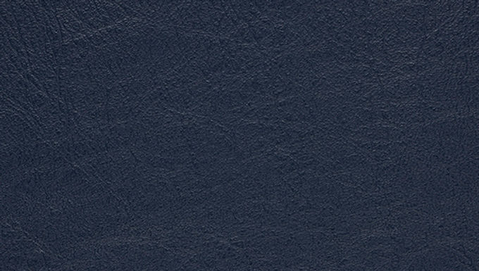 Border Sample - Leather, HL19, Admiral