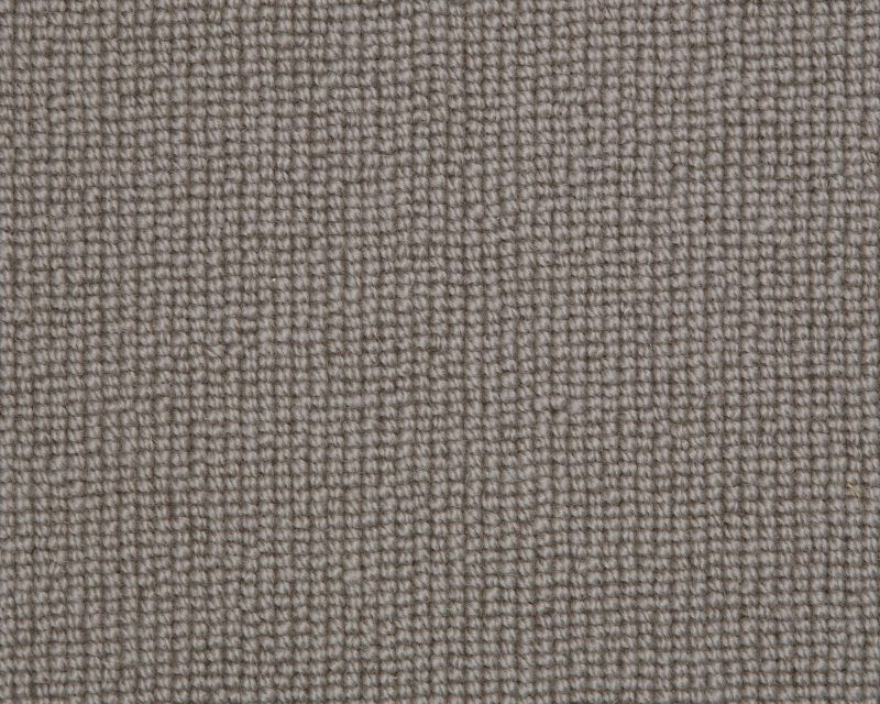 Sample of Biscayne Plain carpet in Grey Ash BS121.