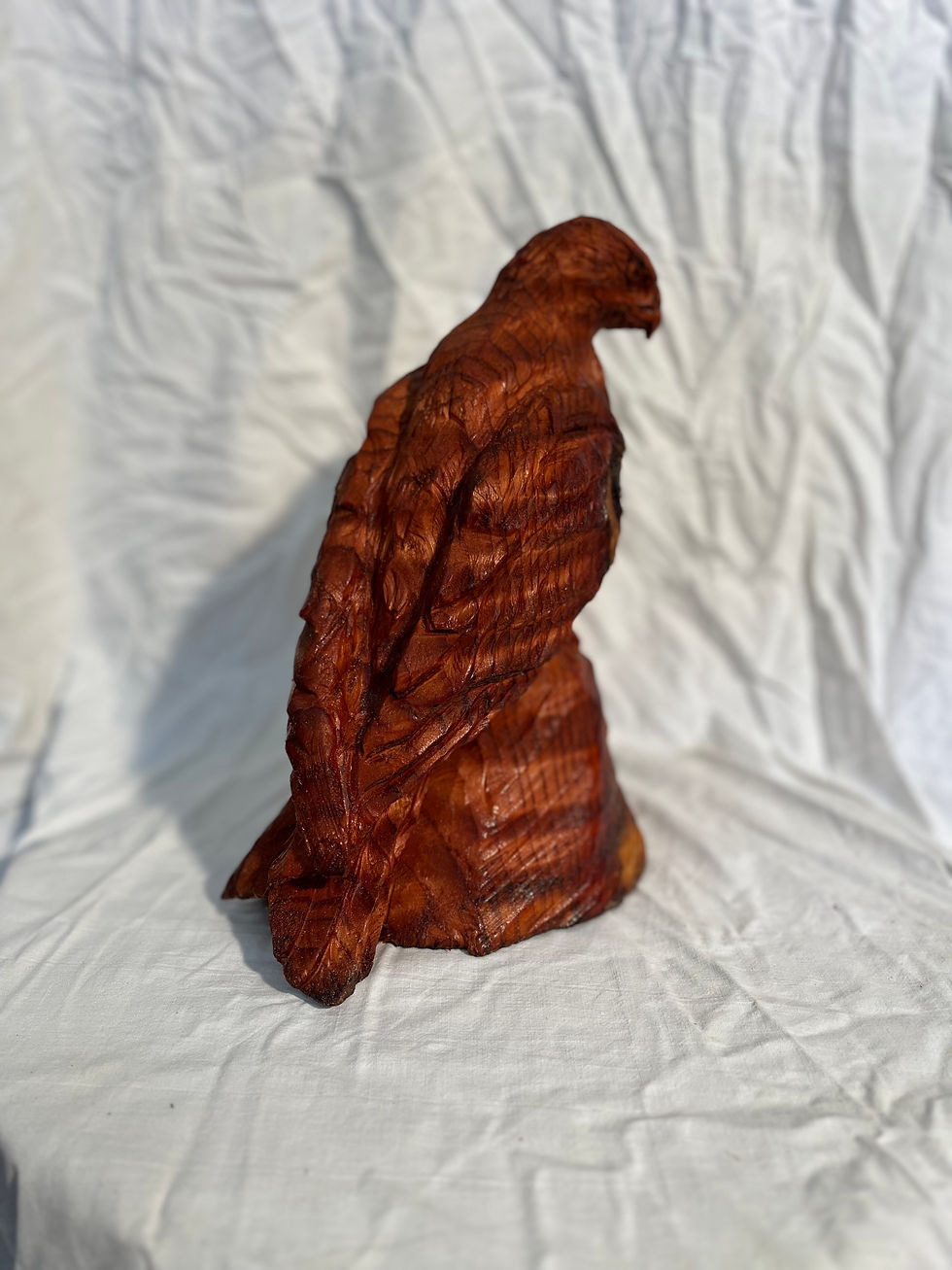 Thumbnail: Red Kite (small)