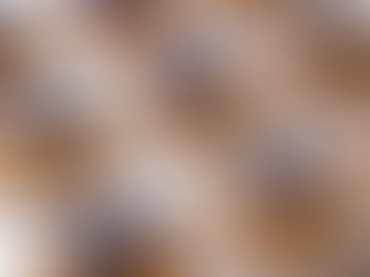 Gluten-Free Breakfast Muffins